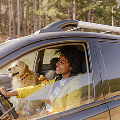 Vehicle Roof Rack